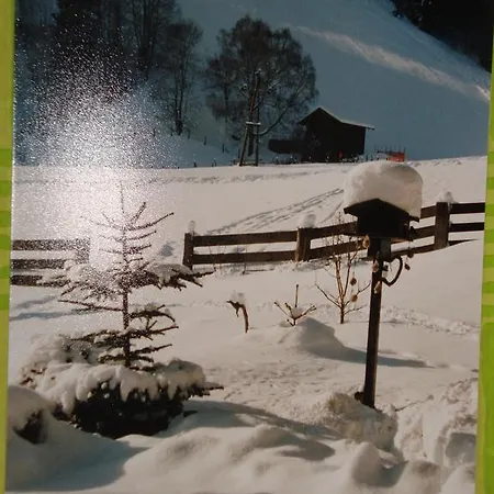 Appartement Landhaus Mayr *